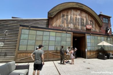 Review! Is Reopened Jock Lindsey’s Hangar Bar in Disney World Still a Must-Do?