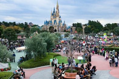 News: Tokyo Disney Resort’s App Finally Has an English Language Version!