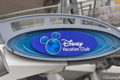 NEWS! Disney Vacation Club Members Receive a Massive Merchandise Discount Through August 14th!