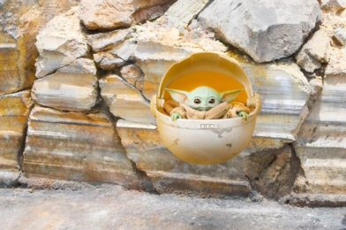 Forget Mickey Ears! This NEW Baby Yoda Hat We Spotted in Disney World is What We Want!
