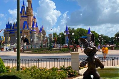 We Checked Out LOTS of Disney World Transportation Today — Here’s What It Was Like!