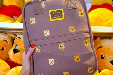 You Can Get a Disney Lunch Box For ONLY $2 with This Back to School Offer!