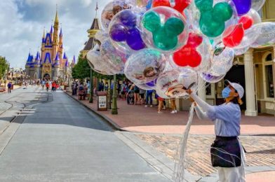 DFB Video: 10 Things You Should Steal From Disney!