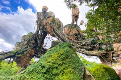 SPOTTED: Even More NEW Pandora – The World of Avatar Merchandise in Disney World’s Animal Kingdom!