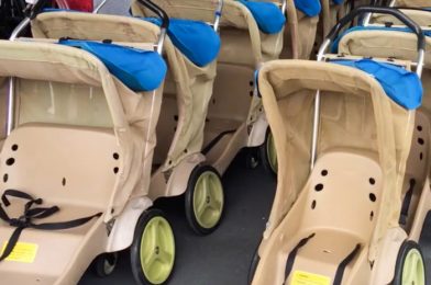 These Stroller Organizers in Disney World Are ADORABLE and Convenient