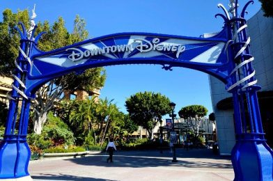 NEWS: Disneyland Resort Has Made Big Changes to Their Face Mask Policy