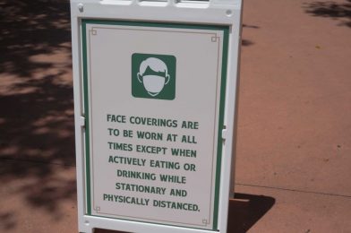 VIDEO: Updated Walt Disney World Park Announcement Reminds Guests to Wear Face Masks Unless Eating or Drinking While Stationary