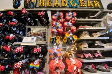 The Orange Bird Flower and Garden Ears Have SOLD OUT in EPCOT!