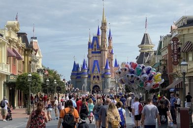 New Annual Pass, Tables In Wonderland Purchases Still Suspended