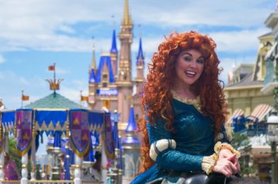 Walt Disney World Resort Announces NEW Florida Resident Disney Magic Flex Ticket for 2020