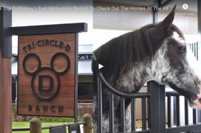 THE NEW TRI-CRICLE-D RANCH AT DISNEY’S FORT WILDERNESS RESORT