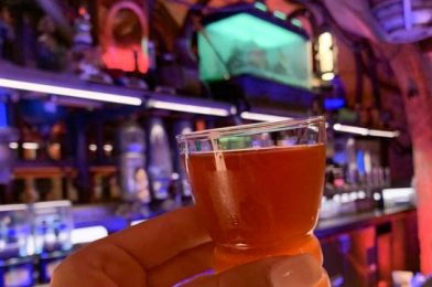 Oga’s Cantina Is BACK on The List of Hollywood Studios’ Reopening Restaurants and Reservations Are Open!
