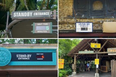 PHOTOS: Disney’s Animal Kingdom Reopens with Extremely Low Wait Times and Crowd Levels Throughout the Park