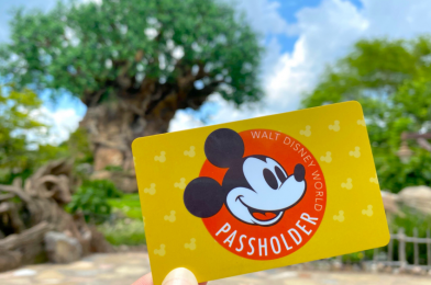 Walt Disney World Issues Additional One-Month Extension for Annual Passholders