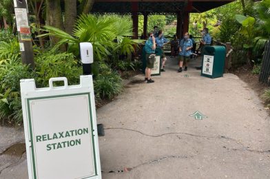 PHOTOS: New Mask-Free “Relaxation Station” Debuts at Upcountry Landing in Disney’s Animal Kingdom