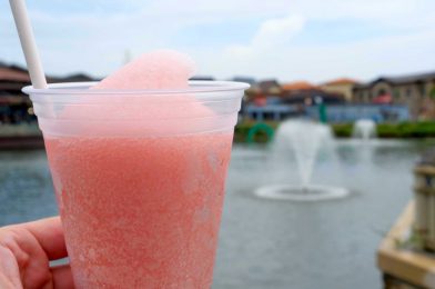 REVIEW: New Frosé Slush Brings a Refreshing Twist to Earl of Sandwich at Disney Springs