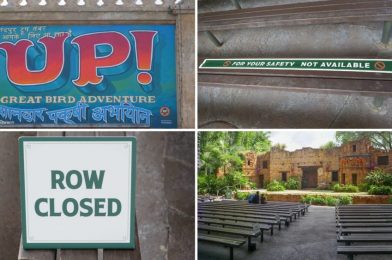 PHOTOS: UP! A Great Bird Adventure at Disney’s Animal Kingdom Soars to New Heights with Social Distancing and Safety Measures