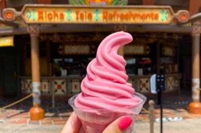 🍍 DOLE WHIP ALERT! 🍍 Another One of Our Favorite Floats Is BACK in Disney World!