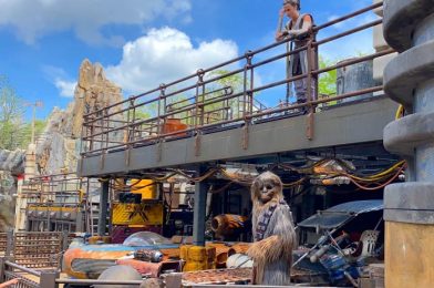 Could ANOTHER Cantina Be in the Future for Disney’s Star Wars: Galaxy’s Edge?