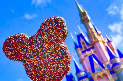 The Ultimate Packing List Of Tried and True Gear For Disney World — Tested by the PROS!