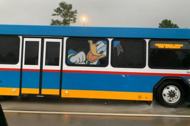 PHOTOS: New Donald Duck Bus Wrap Arrives at Walt Disney World