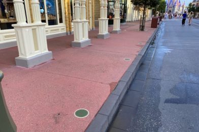 PHOTOS: Magic Kingdom Officially Adds Social Distancing Markers for Character Cavalcade Viewing