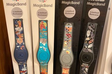 PHOTOS: NEW Limited Release “Park Life” MagicBands Arrive for Disney’s Animal Kingdom and Disney’s Hollywood Studios
