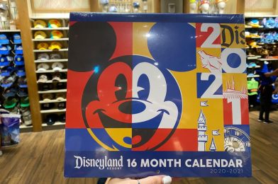 PHOTOS: NEW 2021 Calendar Arrives at Disneyland Resort