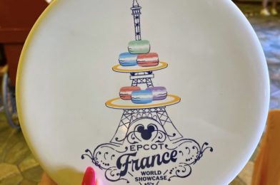 Très Magnifique! Check Out These NEW Kitchen Items in EPCOT’s France Pavilion!