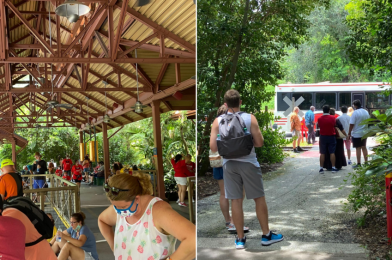 PHOTOS: Guests Wait Over an Hour at Rafiki’s Planet Watch Due to Wildlife Express Train Breakdown; Bussed Back to Disney’s Animal Kingdom