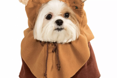 A Wig For Your Dog?! Adorably Funny Pet Costumes Have Arrived in Disney World!