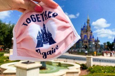 The New Together Again Face Masks Have Arrived in Downtown Disney!