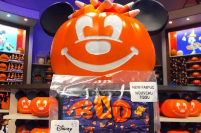 SURPRISE! The NEW Halloween Face Masks Are Already Available in Disney World!