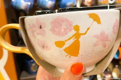 It’s a Mug-stravaganza! Look at ALL the Cute New Mugs We Spotted in Disney World!