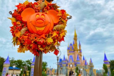 PHOTOS! The Weather Can’t “Frighten” Away This Halloween Cavalcade in Disney World!
