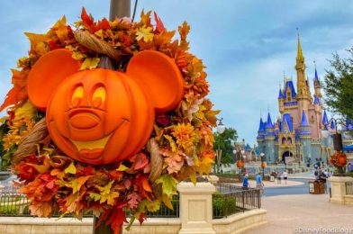 Your ULTIMATE Guide to the 2020 Halloween Season in Disney World!