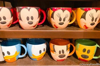 We Spotted A TON of New Mugs in Downtown Disney Just in Time for PSL Season!