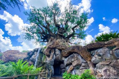 NEWS! Disney World Extends Park Hours at Animal Kingdom on September 27th!