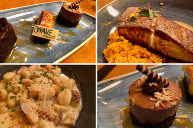 REVIEW: The Wave… of American Flavors in Disney’s Contemporary Resort Offers Delightful Dinner