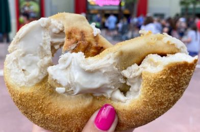 DFB Video: I Changed My Mind About How I Eat in Disney World…