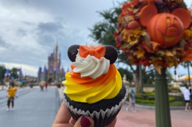 What’s New at Magic Kingdom: Halloween Rainy Day Cavalcade, Cute ‘Coco’ Outfits, and Spooky Cupcakes!