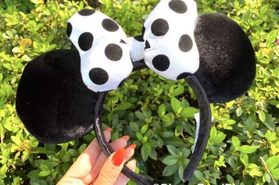 These Blue Polka Dot Minnie Ears in Disney World Have a NEW Look!