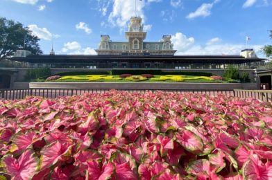 NEWS: Disney World Extends Shortened Park Hours Through Late November