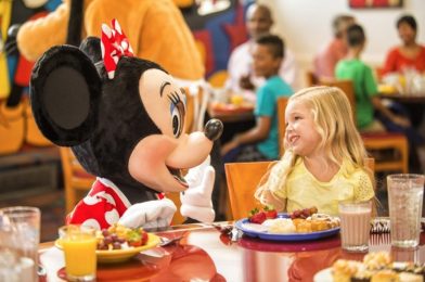 The Dining Experience Disney is Missing