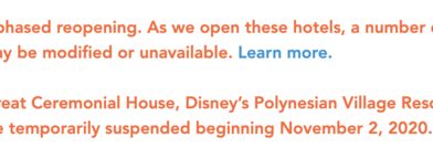 Disney’s Polynesian Village Resort Monorail Service Closure Delayed