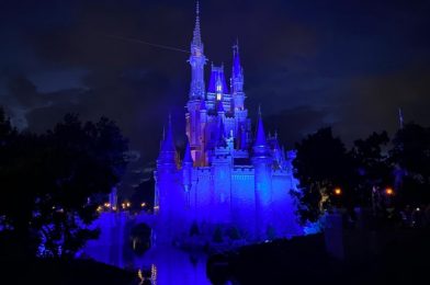 NEWS! Disney World Park Hours Released Through 2020 and Into 2021!