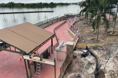 PHOTOS: Palm Trees, Canopy Coverings Added to Resort Launch Dock Site at the Magic Kingdom
