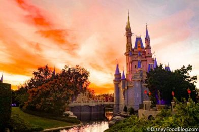 Select Park Passes are ALREADY FULL for Disney World’s 50th Anniversary