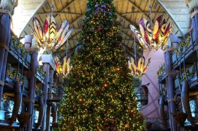 PHOTOS – Disney’s Animal Kingdom Lodge Holiday Decorations Have Arrived