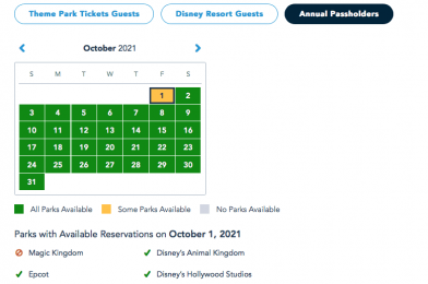 Magic Kingdom Fully Booked for Annual Passholders on October 1, 2021 for 50th Anniversary